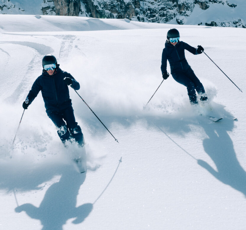 Adult Skis – Premium (Platinum Category)