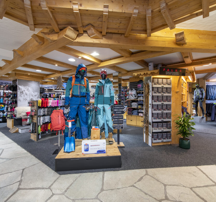 Adult Skis – Performance (Gold Category)