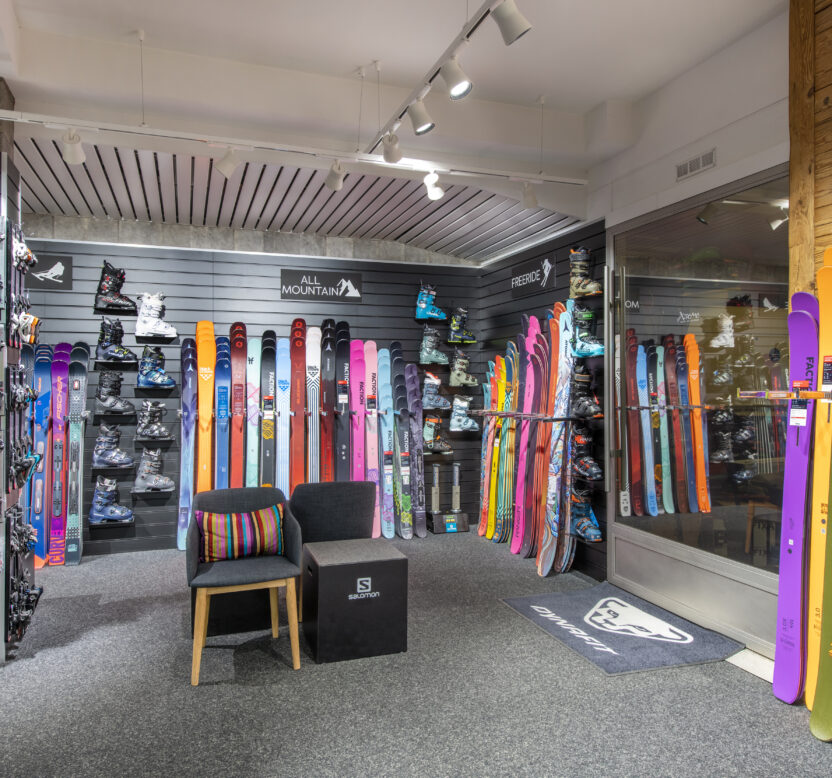 Adult Skis – Performance (Gold Category)