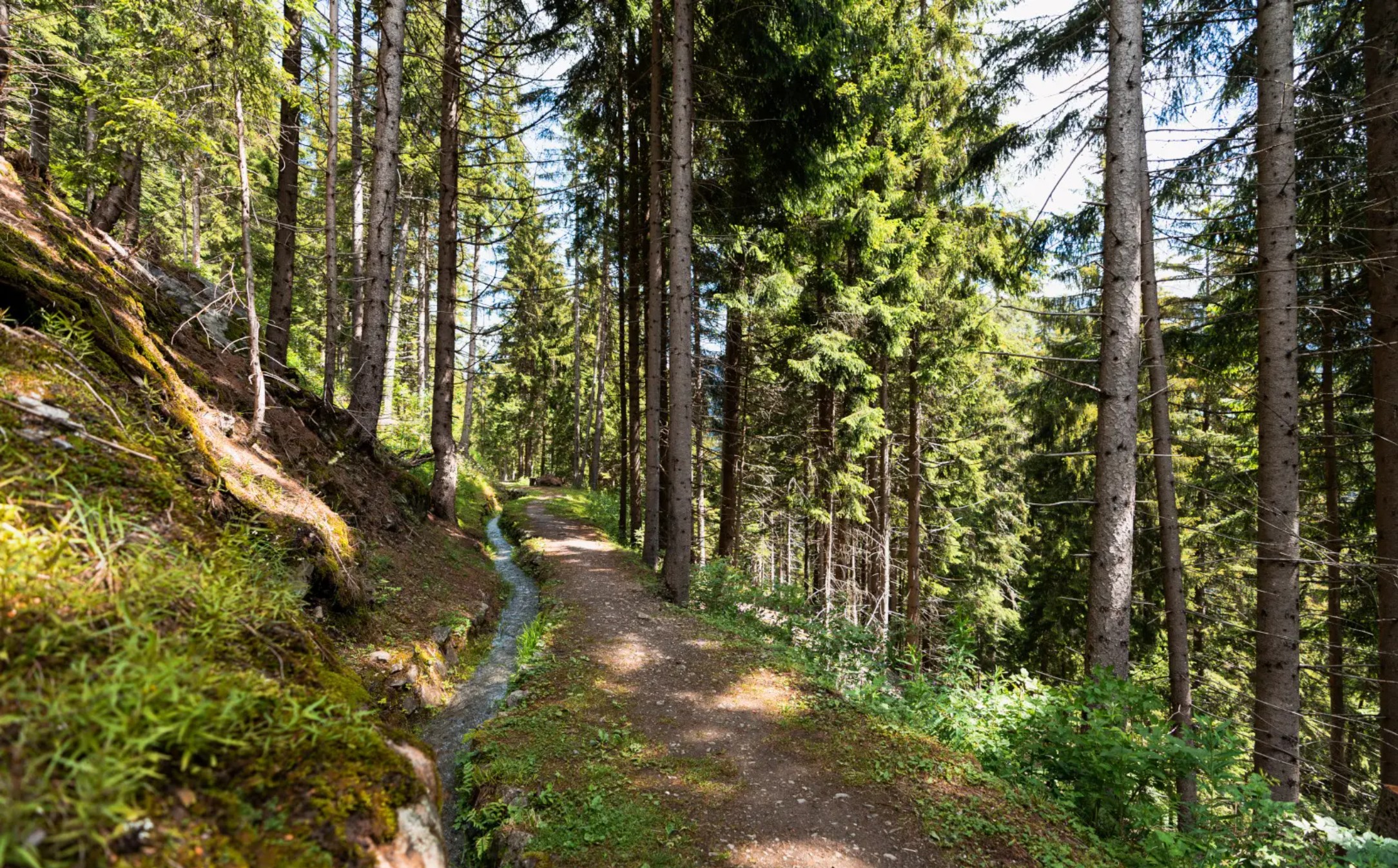 Le Bisse des Ravines : l’un des plus beaux secrets de Verbier